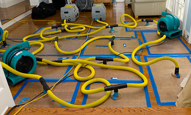Professional Sewage Cleanup technician working in Central City, NE
